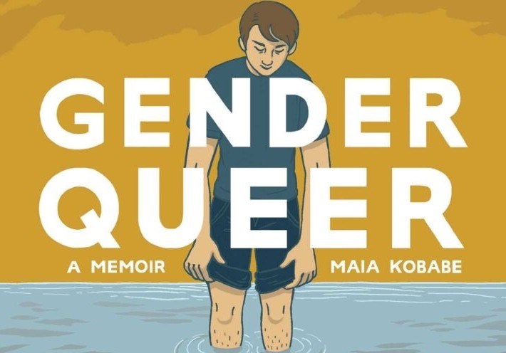 Nebraska GOP posted explicit images of youth sex acts from graphic novel - Vimarsana News