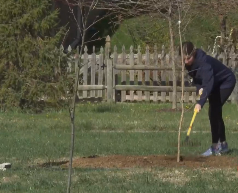 Gretna community celebrates Arbor Day with 27 new trees in local park - Vimarsana News