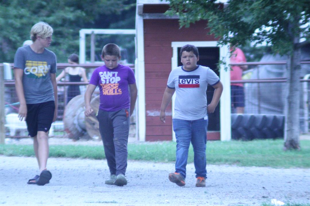 Fremont County Fair seeks open class entries - Vimarsana News
