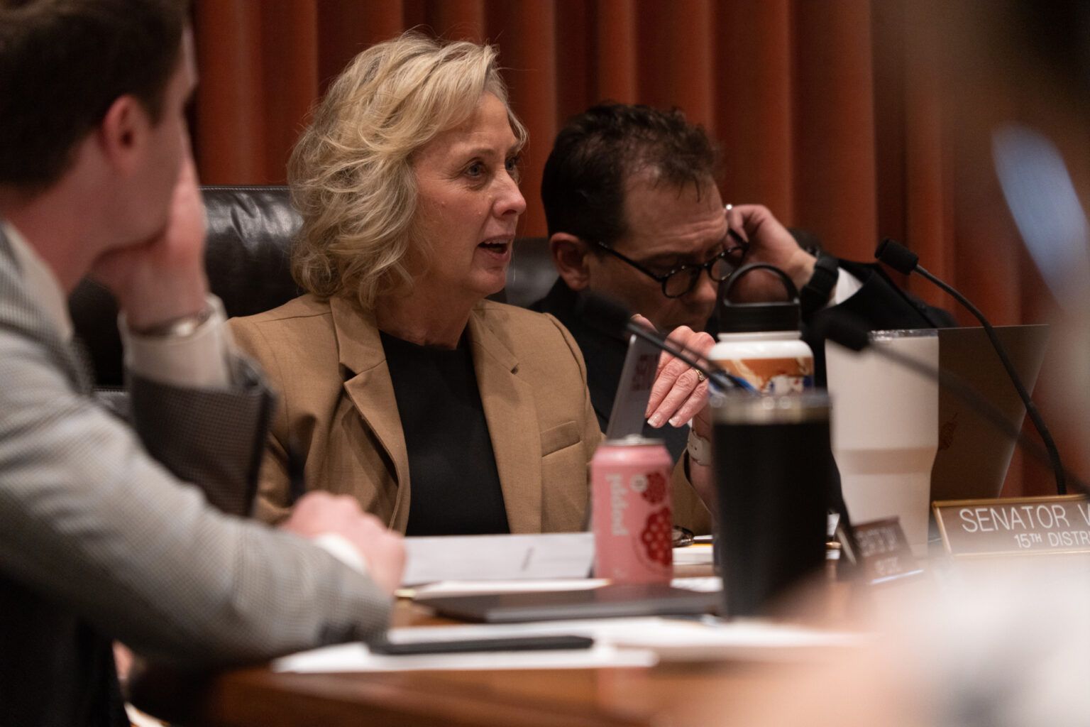 State Sen. Lynne Walz of Fremont, a six-year member of the Health and Human Services Committee, suggested dividing the Nebraska Department of Health and Human Services into three departments to improve care.