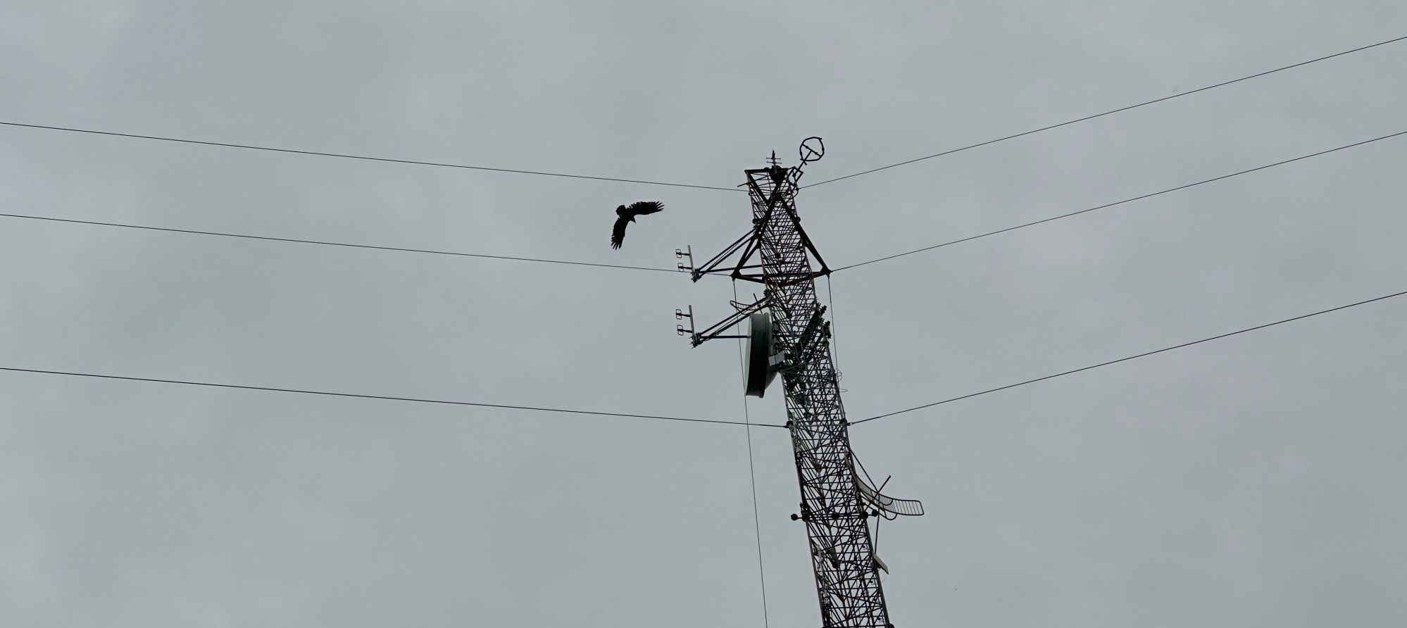 Otoe County moves to join statewide radio system