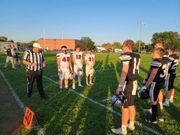 Knights Defend Kingdom of Elmwood-Murdock from Invading Eagles